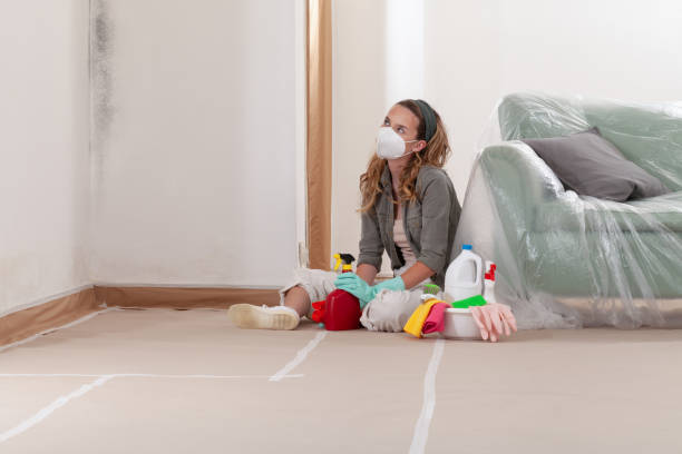 Reliable Basement Mold Remediation contractor in Columbia, IL by Car Mold Remediation